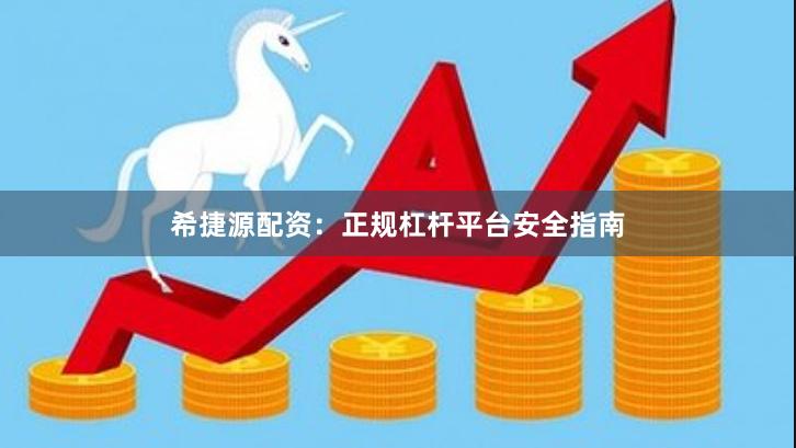 希捷源配资：正规杠杆平台安全指南